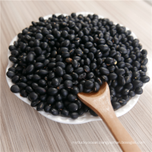 HPS Big Black Beans /black soya beans/ black soybeans with green kernels